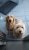 Teds and Jack.jpeg
