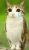 IMG_3495.jpeg