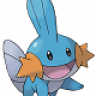 Mudkip